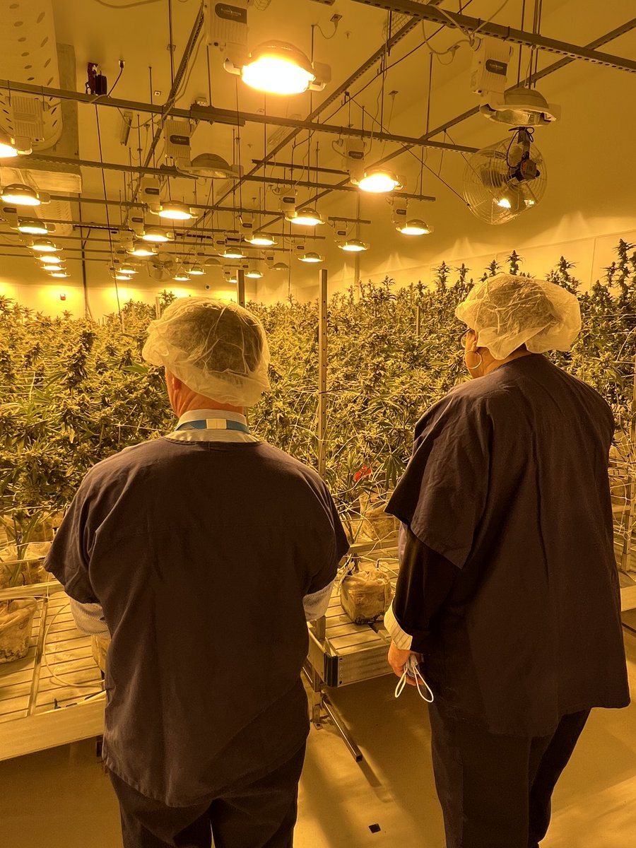 Dr. Tom Sherman (@tomshermannh) on Twitter photo 74% of Granite Staters want adult-use cannabis legalized. I toured the @AyrWellness cultivation facility in MA, with <a href="/RepChynahTyler/">Chynah Tyler</a>. We discussed how legalization strengthens workforce, communities, and the economy. As Governor, I will legalize adult-use cannabis. #NHPolitics 74% of Granite Staters want adult-use cannabis legalized. I toured the @AyrWellness cultivation facility in MA, with <a href="/RepChynahTyler/">Chynah Tyler</a>. We discussed how legalization strengthens workforce, communities, and the economy. As Governor, I will legalize adult-use cannabis. #NHPolitics