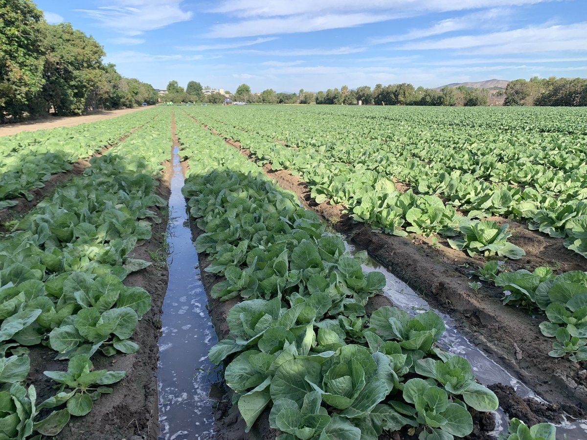 It was wonderful to tour the @SHFBOC Harvest Solutions Farm in #Irvine! Since 2021, the Farm has produced nearly 3 million lbs of fresh produce for needy families in Orange County. Volunteers are key to the success of Harvest Solutions Farm. Learn more at feedoc.org