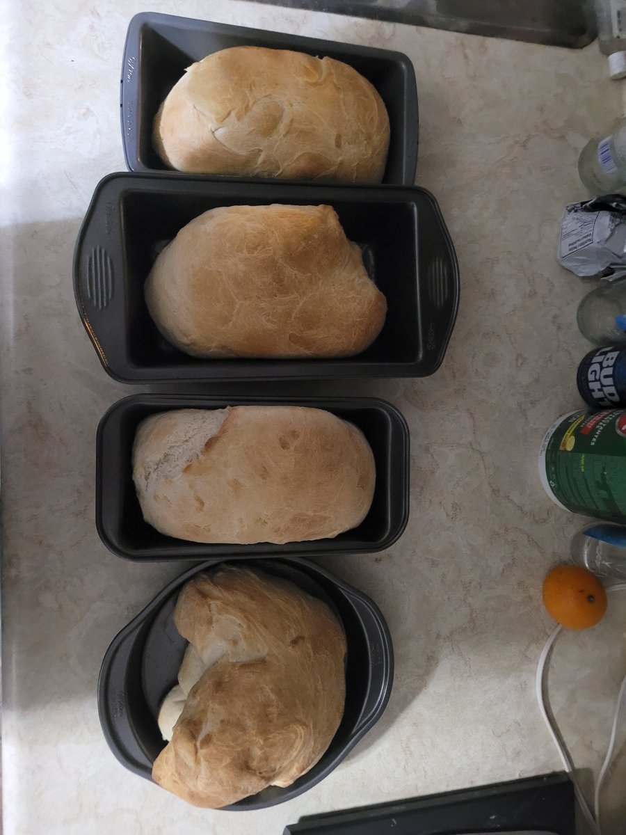 mitchieforreal's tweet photo. I made bread tonight! (I know some look weird, it is what it is) https://t.co/qMI2gVoajV