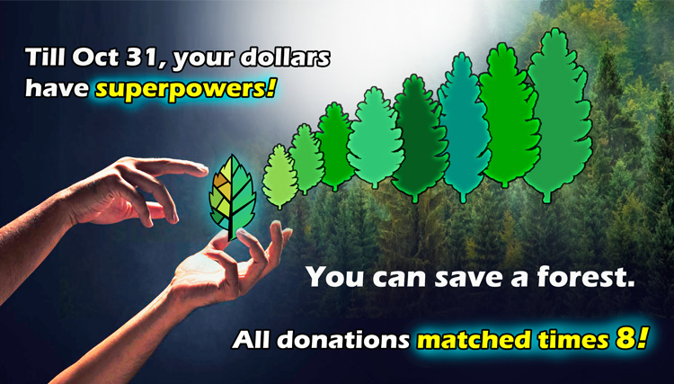 Climate Action Families tweet media