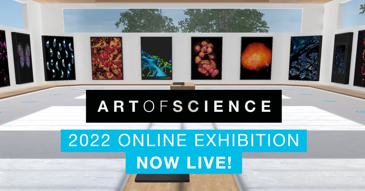 'The greatest scientists are always artists as well' - Albert Einstein. 

Step inside the #ArtOfScience interactive online exhibition, now open! 

wehi.edu.au/artofscience