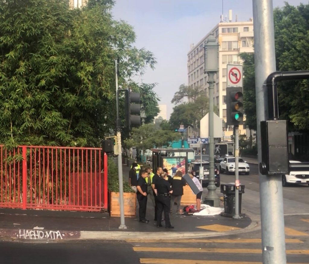 StreetWatchLA's tweet photo. These planters are in Gil Cedillo’s district and came after weeks of sweeping and police harassment. #servicesnotsweeps #ProduceThePermit #hostilearchitecture https://t.co/mdKk90KepT