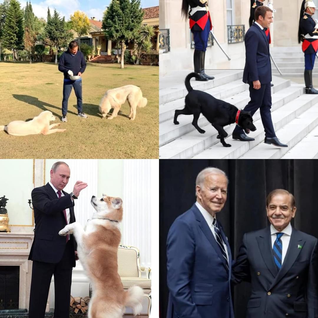 Salu193's tweet image. world leaders with their pets
#StopAttackingPakistan
#امپورٹڈ_حکومت_نامنظور