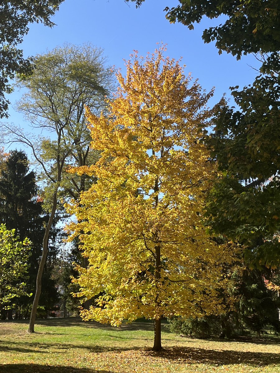 East Campus tweet media