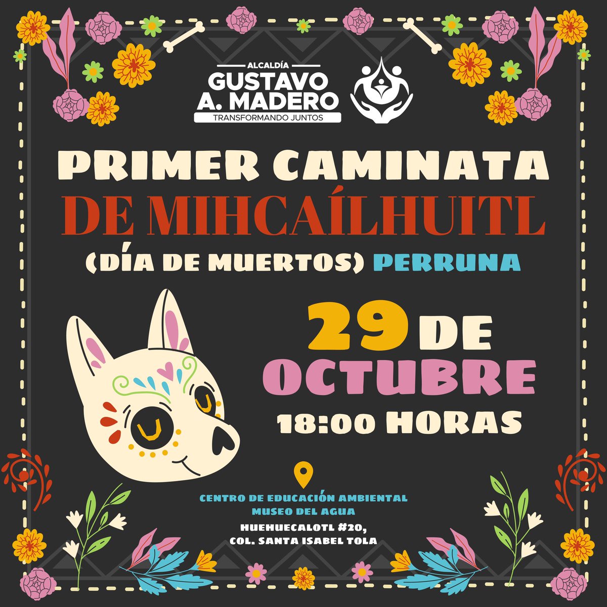 🐶Participa con tu animal de compañía en la 1a caminata de Mihcaílhuitl este 2️⃣9️⃣ de octubre en el #MuseoDelAgua. 🐾

▶️La salida será a las 18:00 horas ⏰