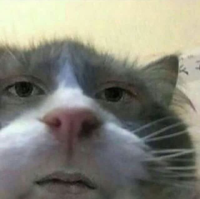 sakuraRblx_'s tweet photo. I was putting my sweater in my math class while doing a test . And she said “ ARE YOU CHEATING? “ I stare at her and everyone was looking at her . And she was like “ you know what , go outside and get a break , how dare you look at me like that” She is horrible. https://t.co/19awENcZzH