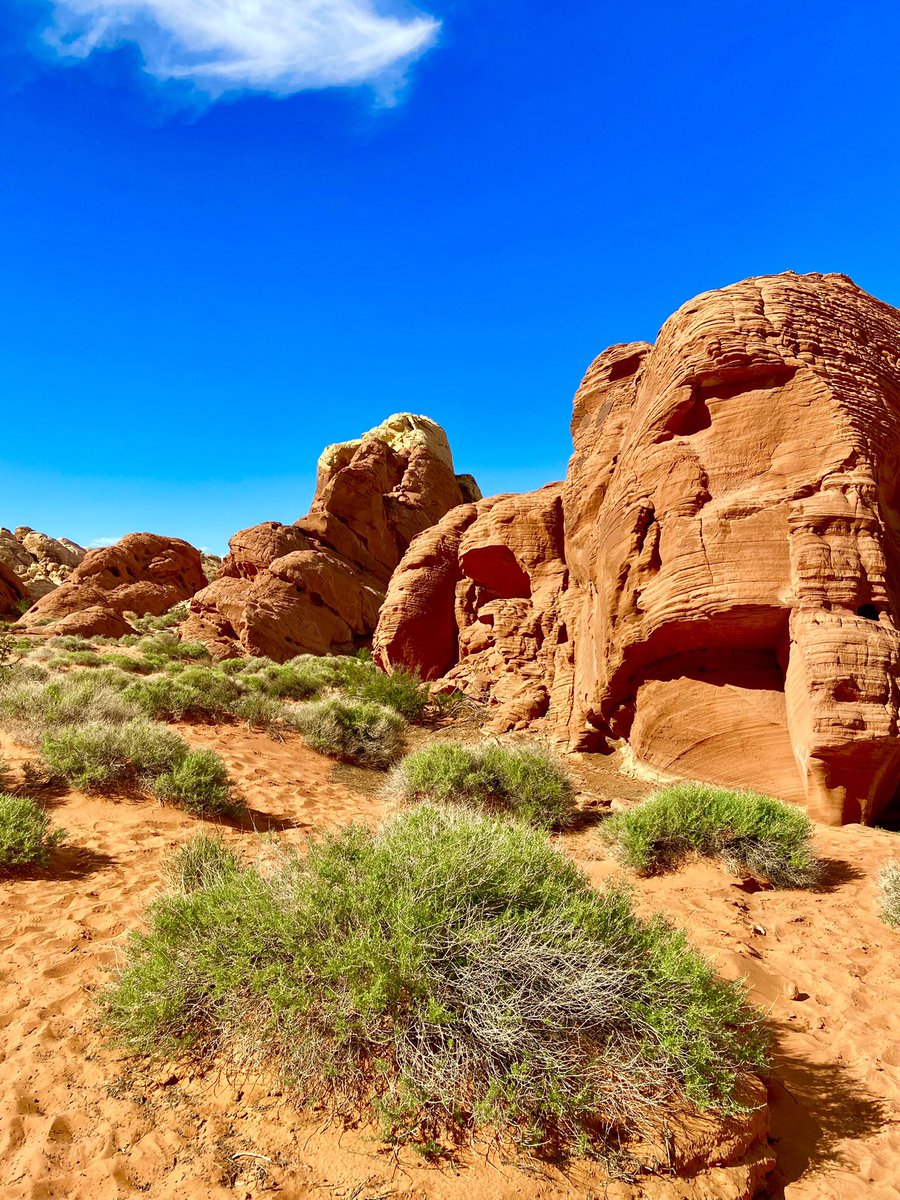 mwh360's tweet photo. Another nice pic from the trail today near Rainbow Vista at Valley of Fire state park. https://t.co/cWEetm4HjY