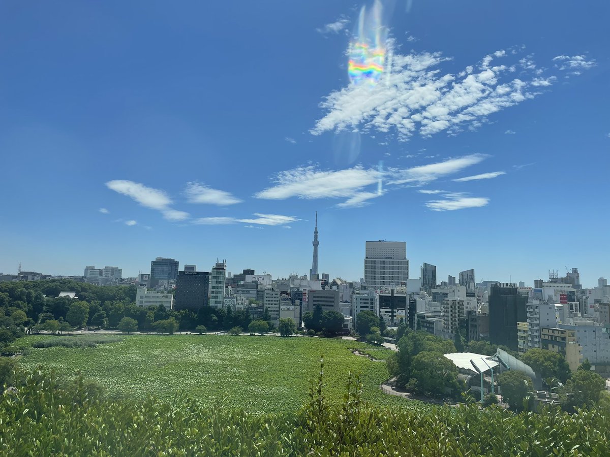 lucisgarden's tweet photo. おはようございます☀️
10月後半ランチメニューのご紹介です！
【海･山の幸膳】
メイン料理✨
海→海老と銀杏の柚子胡椒炒め🦐
山→緑茶豚とタロイモの黒酢ソース🐖
小菜🌾
山海すり身の湯葉巻きです🌱

この他に季節の食材を使った前菜もご用意しております😊
是非ご賞味くださいませ💁🏻‍♀️ https://t.co/n7LQgm16Va