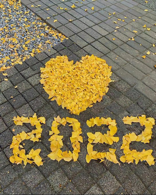 second686's tweet image. 不管曾经是多么要好的朋友，
终有一天你会发现，
大家都在渐行渐远。