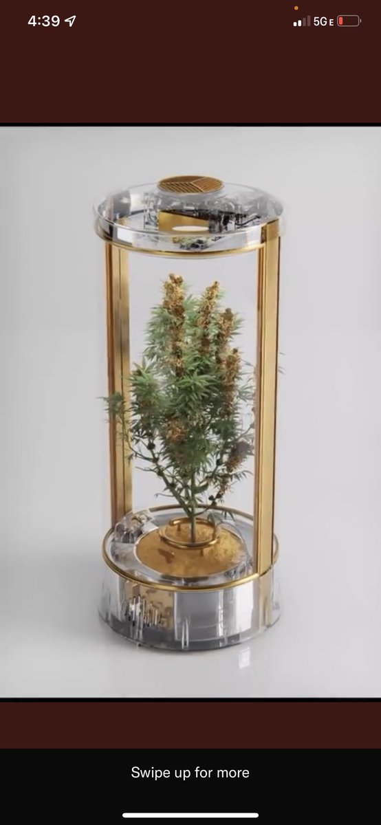 Jesse Croteau tweet media