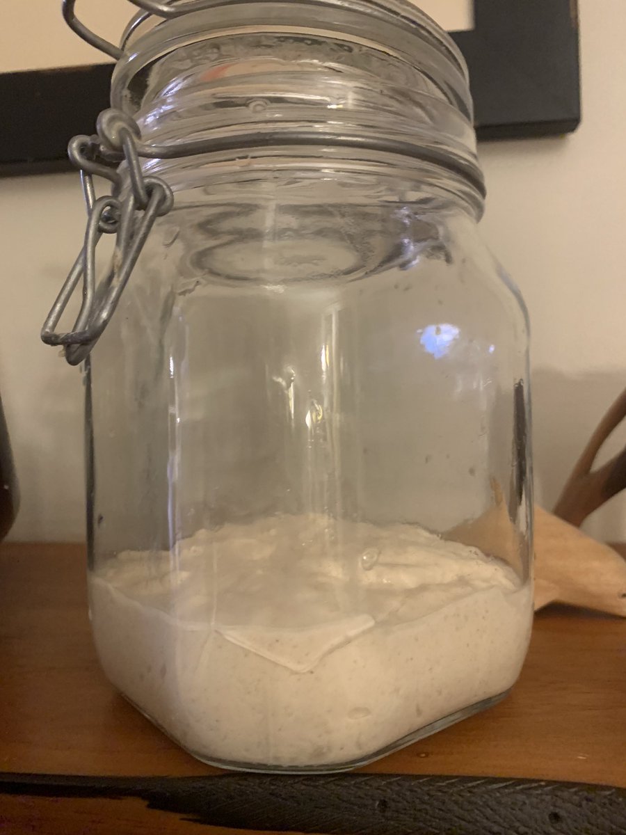 Bummer!  Aunt Linda’s jar (that she was born in) has broken.  Time for a new one.  They grow up so fast… #sourdough