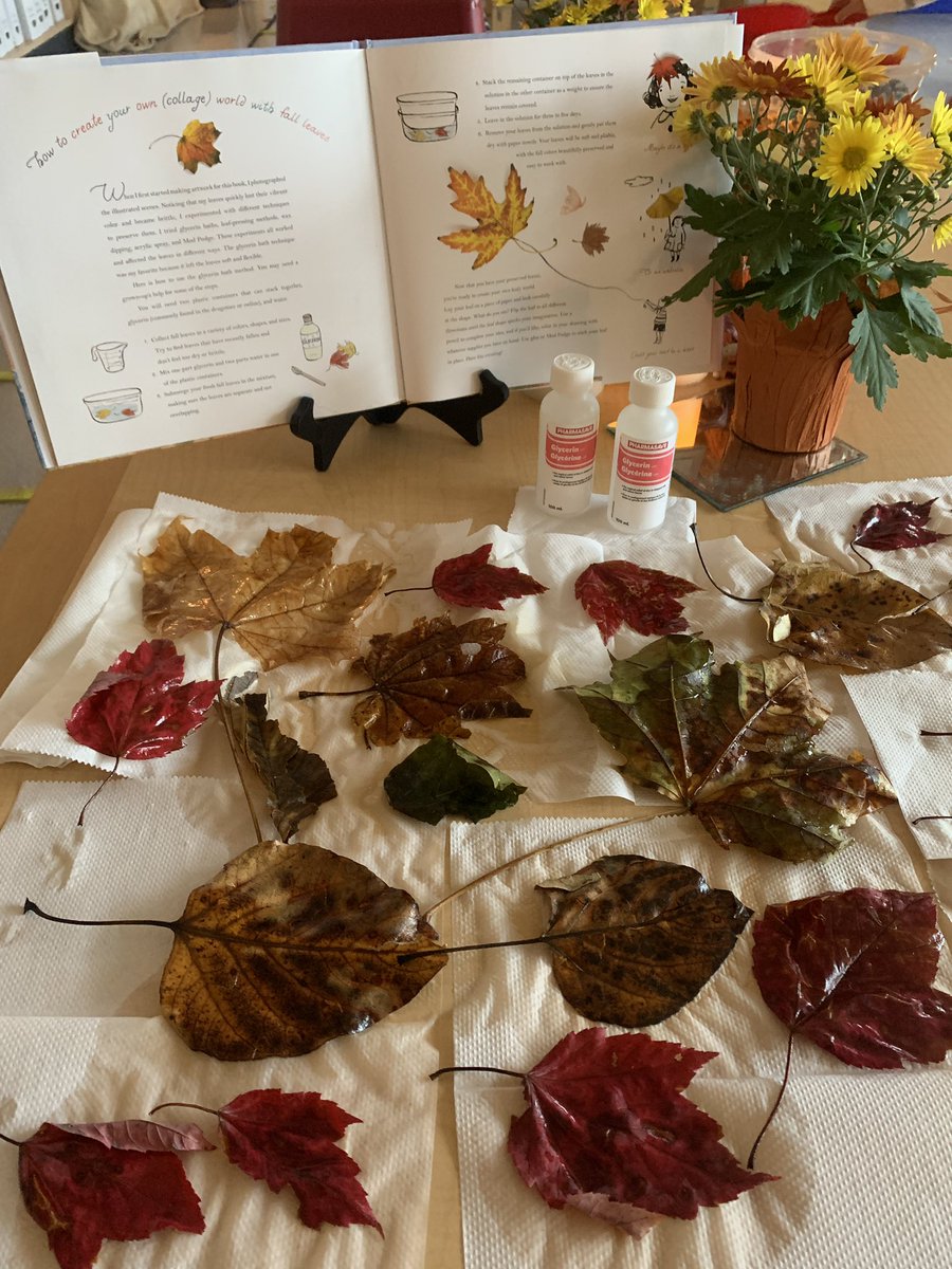 Laura Fee tweet media