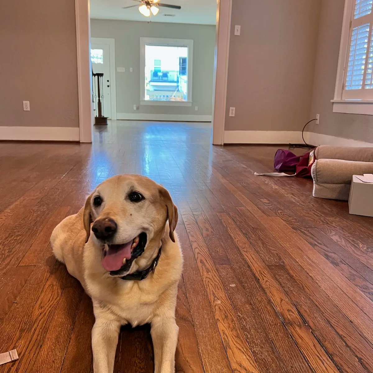 John P. Lopez tweet media