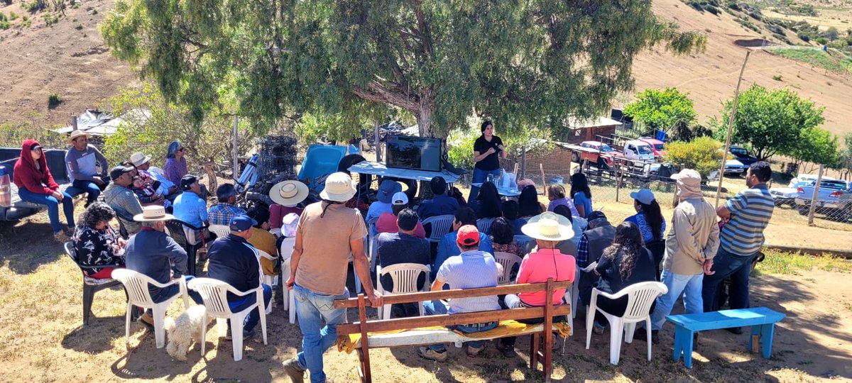 FabiolaSeplveda's tweet photo. 🌸🌵 Hoy estuvimos acompañando a los agricultores de #limones del sector el #Ajial de la comuna de #Punitaqui con la capacitación ¿Por qué y cómo incorporar la #agroecología en los sistemas agroproductivos?
Actividad coordinada por @INIA_Intihuasi, apoyada por @iniaLaPlatina https://t.co/kHb9HFgWeB