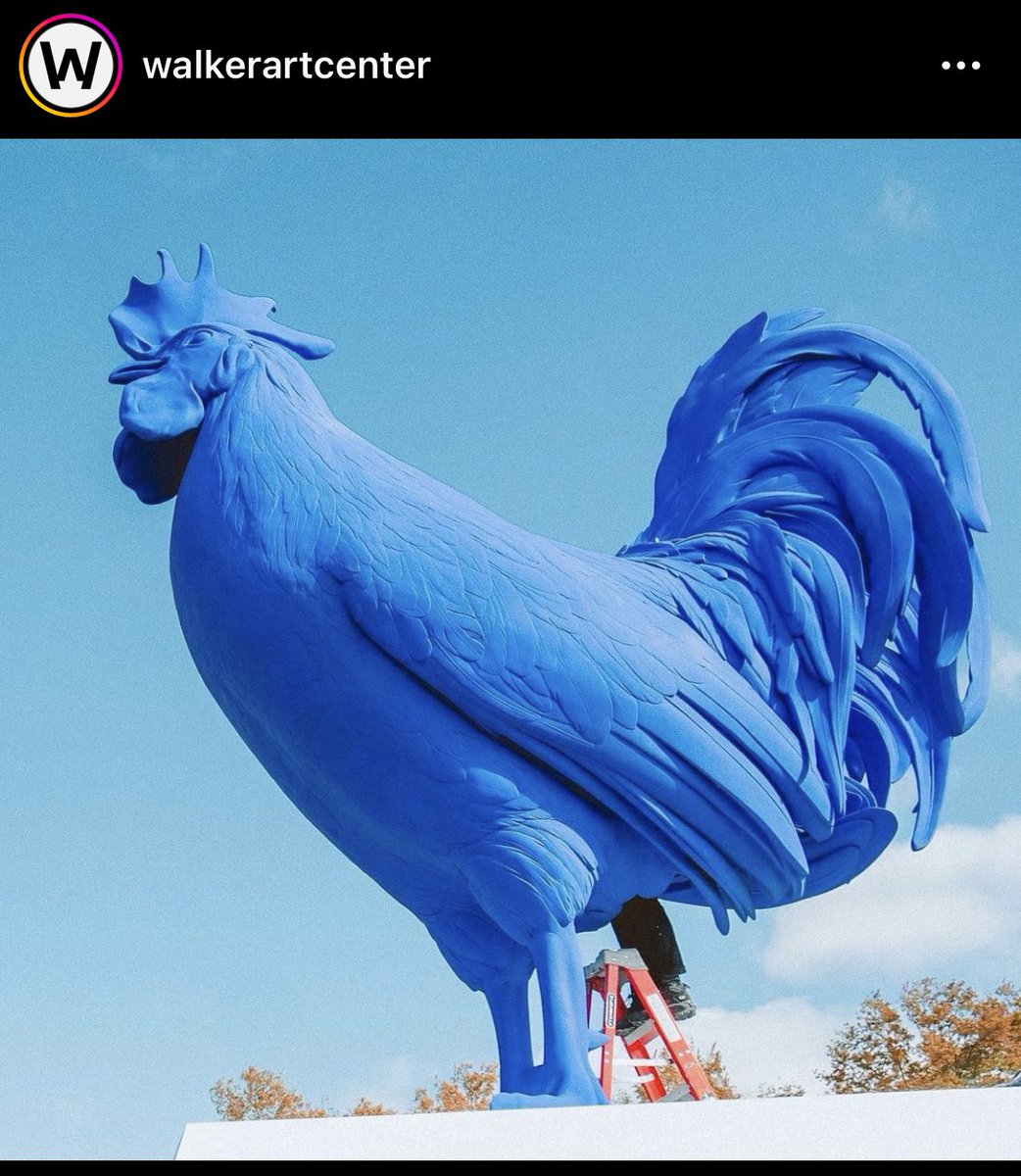 mfarnan's tweet photo. Just a reminder it’s time for your giant blue rooster’s colonoscopy. @walkerartcenter https://t.co/G1SrSKLMZE