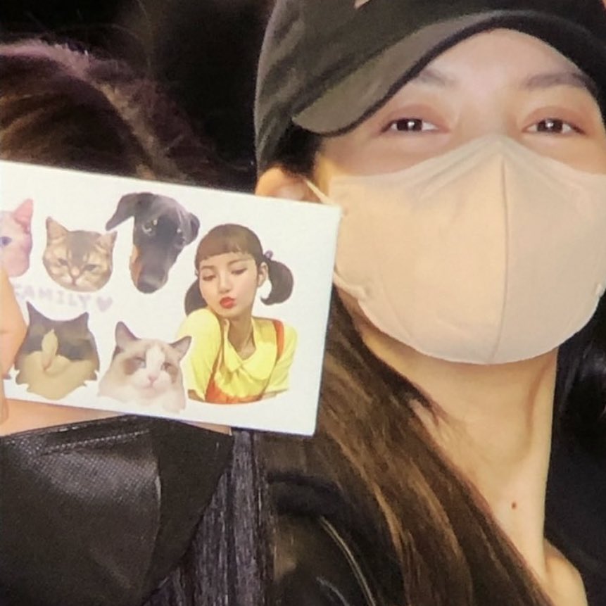 did jennie just use L’s family stickers with lisa? 😭