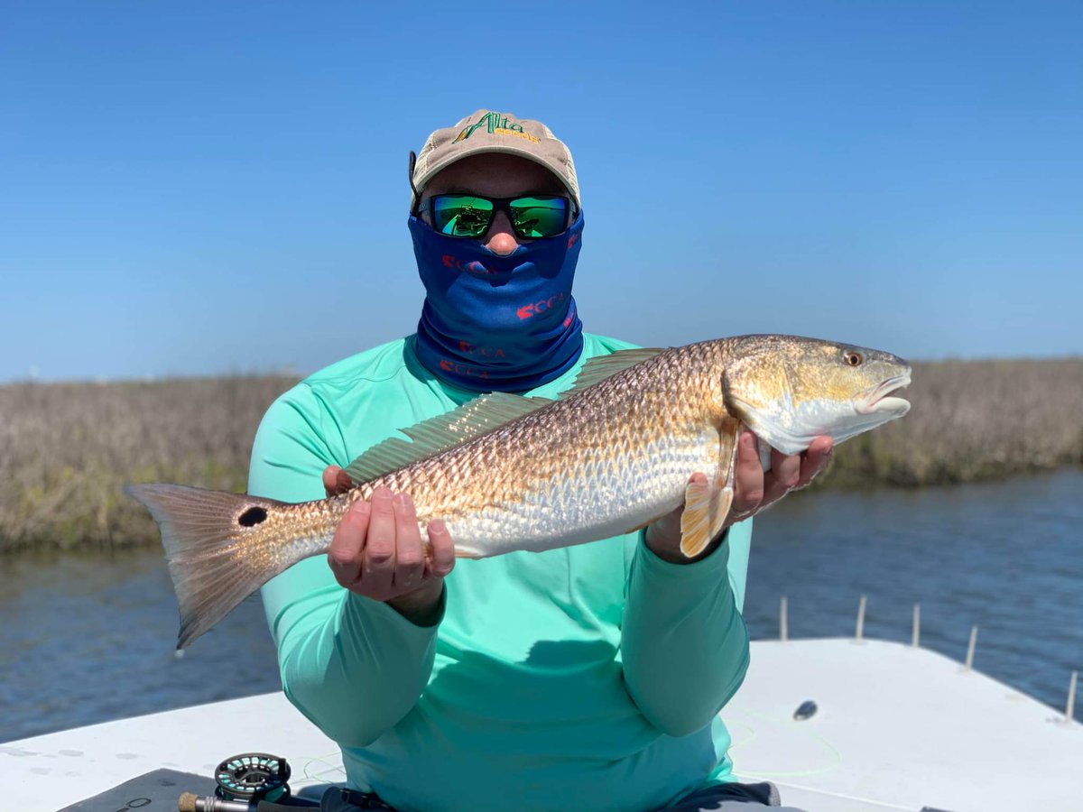 Outdoors_BenB's tweet photo. Redfish love @AltaSeeds and you should too.
#grain #sorghum #silage #forage #igrowth #APHIX #EMPYR https://t.co/cTUNJ8wk3M