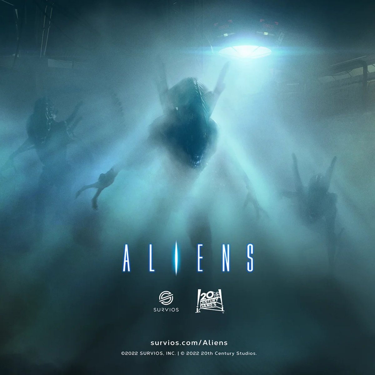 Drew Risch - Rogue13 tweet media