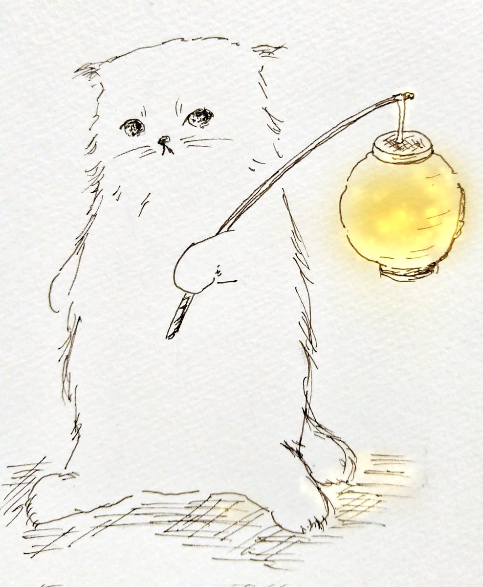 今日は #あかりの日 と聞いて。灯りを持っている猫たちをそっと置いておきます。 今日もよろしくお願いします🐱#猫イラスト 