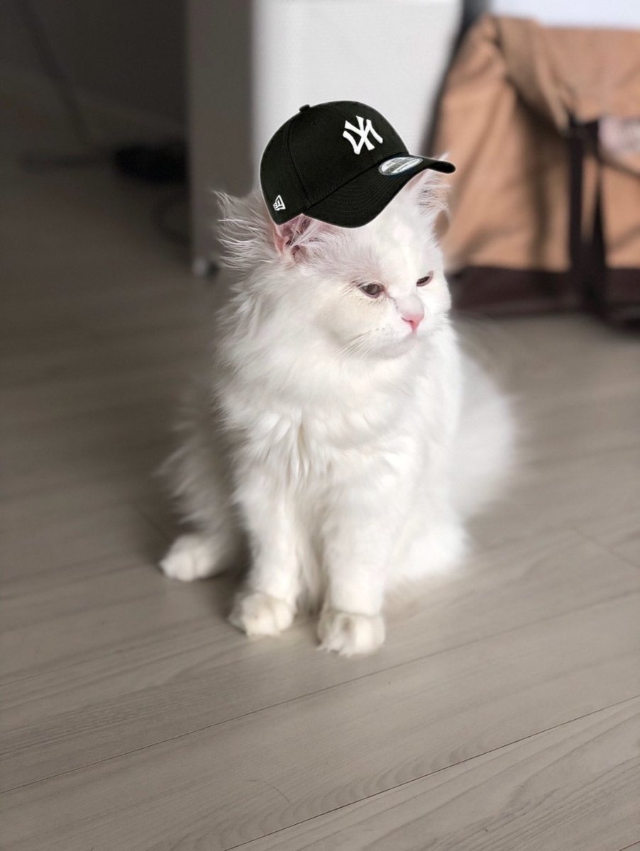 에구구 누가 니에리야