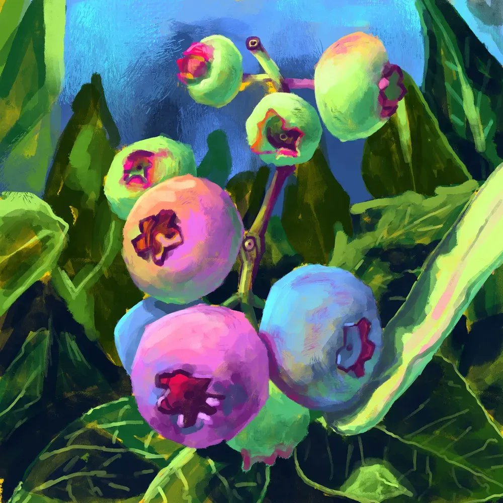 inprnt's tweet photo. 25% off @veryberrydraws prints all week long. 15% off sitewide! Browse our "on sale" section for prints up to 40% off. https://t.co/oOVGhGoEN5 

 Print available at https://t.co/5Nf1eRi3Wp https://t.co/zyiVuRfTd5