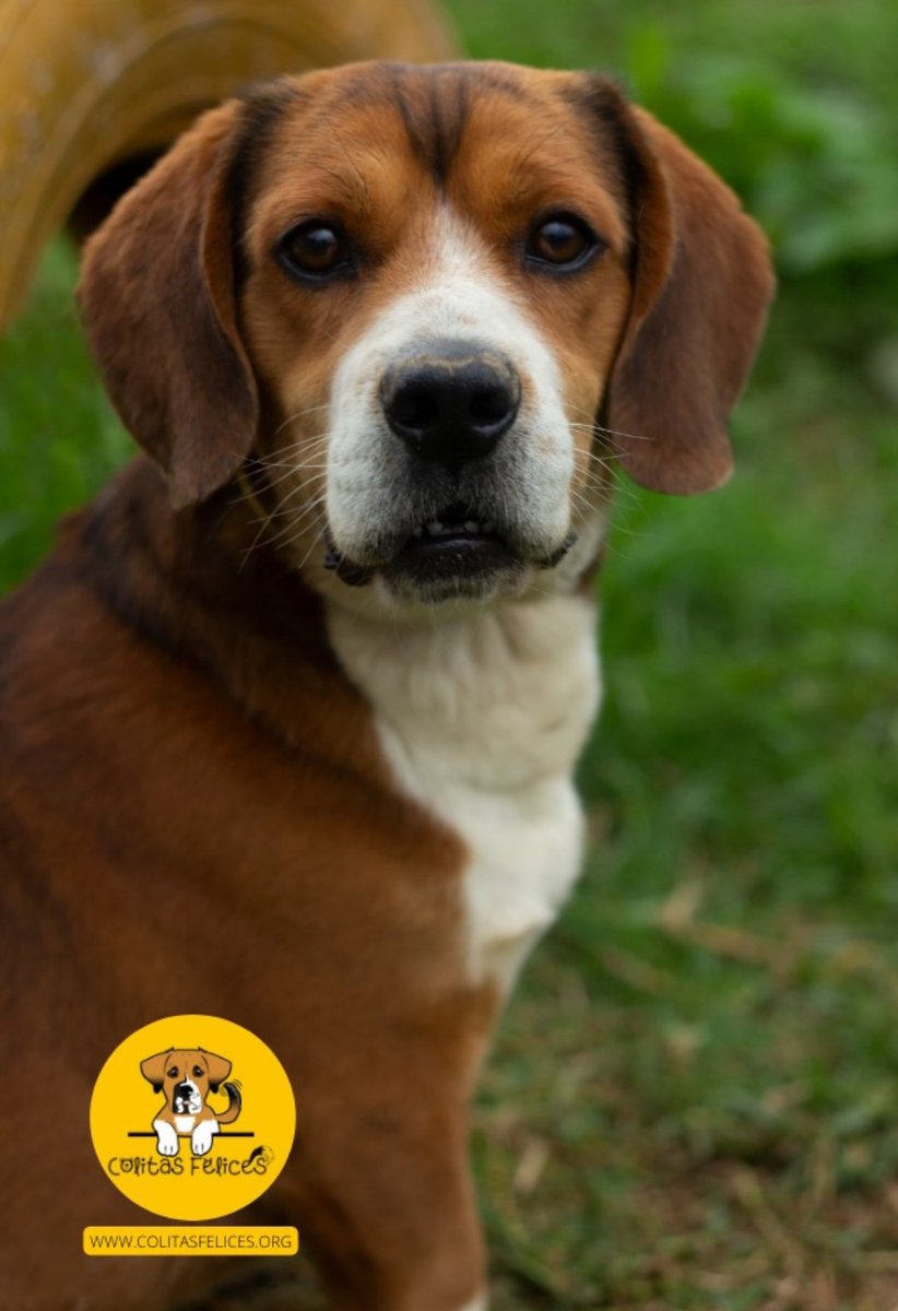 Adriana Cooper🌷 tweet media