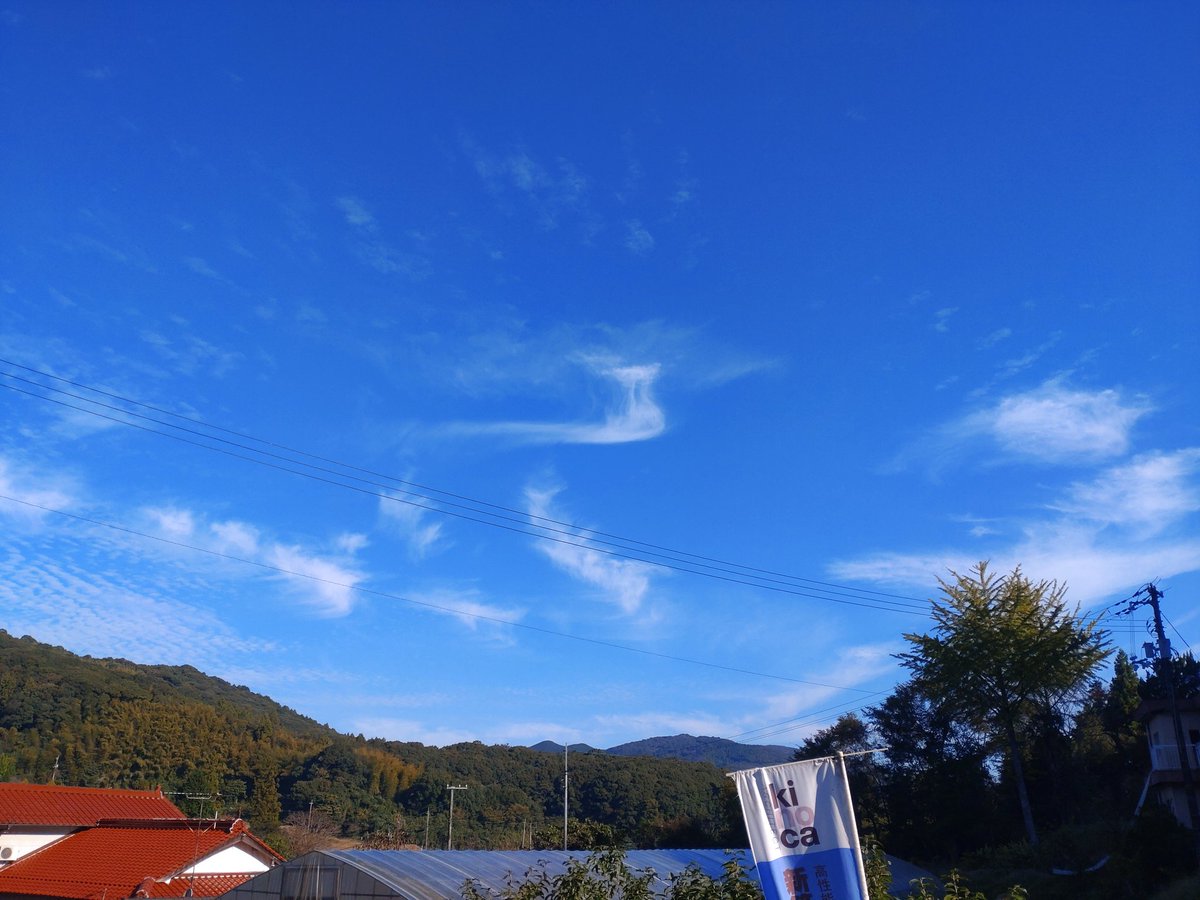 kinoca3's tweet photo. おはようございます☀
 #山口県宇部市 今日の天気は☀☁
しばらく天気も続きそうです🤗

今日も朝から、 観光バスが 何台も出発してました。
ちょっと、うらやまし～(笑)

今日も1日、頑張りましょう～🤗

 #企業公式が毎朝地元の天気を言い合う 
 #観光日和 https://t.co/zoumHxKUt3