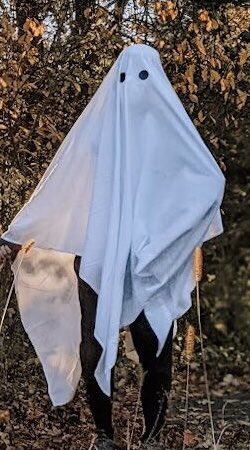 Sheet ghost costume is Simply the best
#183018bday