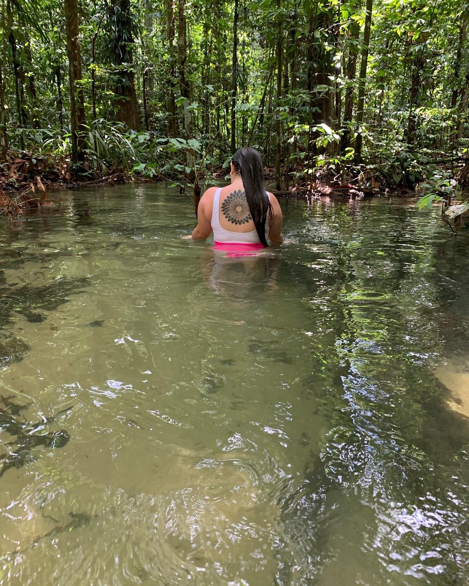 rafaelaamotta's tweet photo. Bateu saudade da Amazônia ❤️ https://t.co/sUQlNE4wxW
