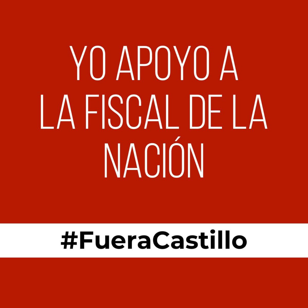 FernandeGael's tweet photo. @PedroCastilloTe @OEA_oficial https://t.co/QM94yADplS