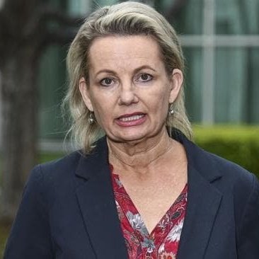 TheAviator1992's tweet photo. The irony of Sussan Ley telling Lidia Thorpe to resign.

In 2017, Sussan Ley was caught using travel expenses for 27 trips to the Gold Coast, including one where she bought a $795,000 apartment.

Ley didn't resign. She got promoted to Liberal deputy leader. #auspol #icac https://t.co/atbDIRfLZ6