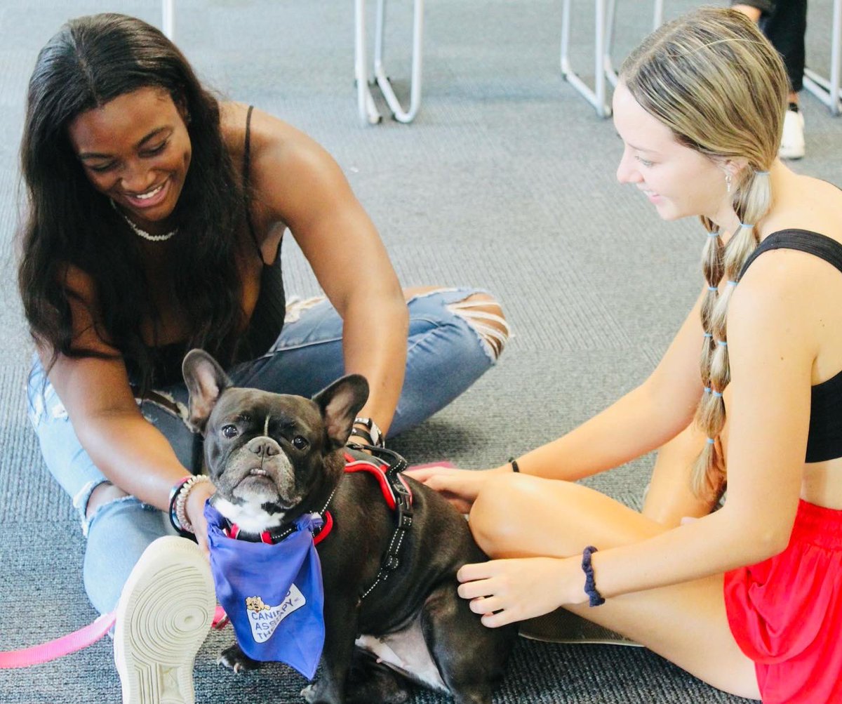 SASC_FAU tweet media