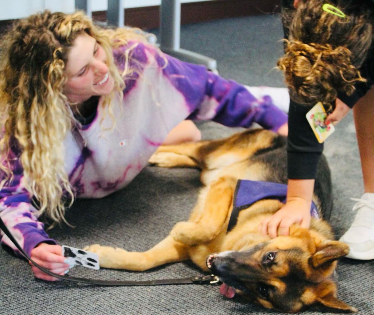 SASC_FAU tweet media