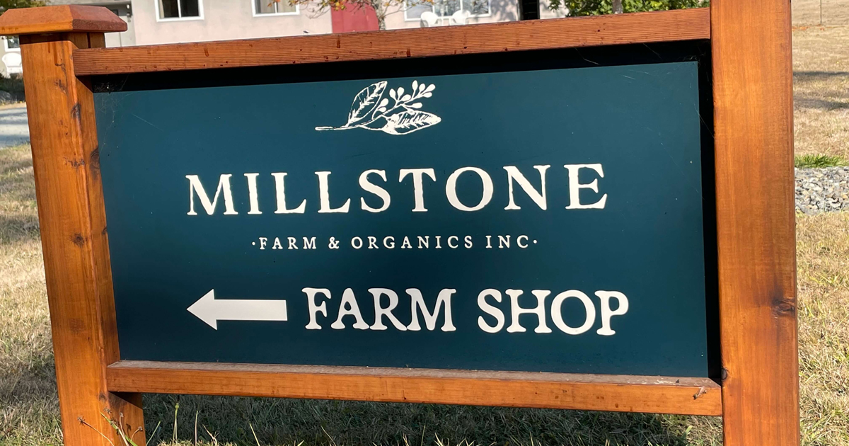 The Celiac Scene (@theceliacscene) on Twitter photo π Organic, freshly #stoneground #glutenfree #flours & #spices!π Millstone Farm & Organics #NorthSaanich π Laurie Kelly & Tara Black <a href="/originbakery/">Origin Bakery</a> talk about GF baking!π Sat-Oct- 22 1-3pm Just $10. SEE bit.ly/MillstoneClass #celiac #organic #dedicated π Organic, freshly #stoneground #glutenfree #flours & #spices!π Millstone Farm & Organics #NorthSaanich π Laurie Kelly & Tara Black <a href="/originbakery/">Origin Bakery</a> talk about GF baking!π Sat-Oct- 22 1-3pm Just $10. SEE bit.ly/MillstoneClass #celiac #organic #dedicated