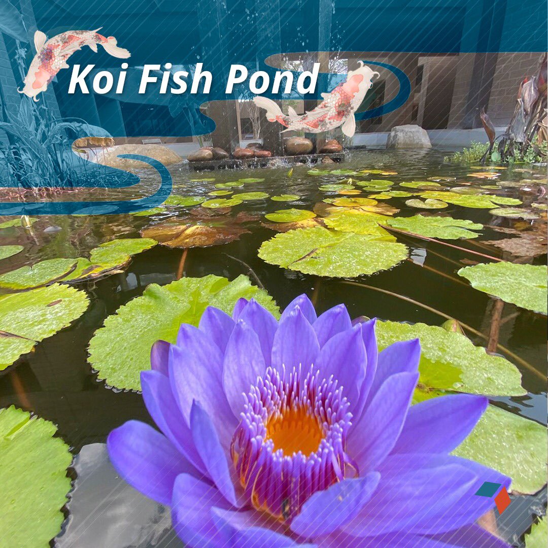 #hexacoworking offers you the most cutting-edge and innovative solutions and amenities to help cope with your daily workload, stress, and overall productivity challenges.
#coworkingtexas #Dallas