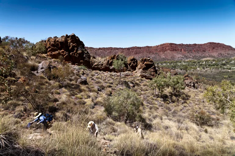#EarlyCareer Structural Geologist? <a href="/CSIRO/">CSIRO</a> mineral resources is looking for a #postdoc to support our research in basin hosted mineral systems. Find out more here jobs.csiro.au/job/Perth%2C-W… 
#LGBTQSTEM #BlackInSTEM #WomenInSTEM