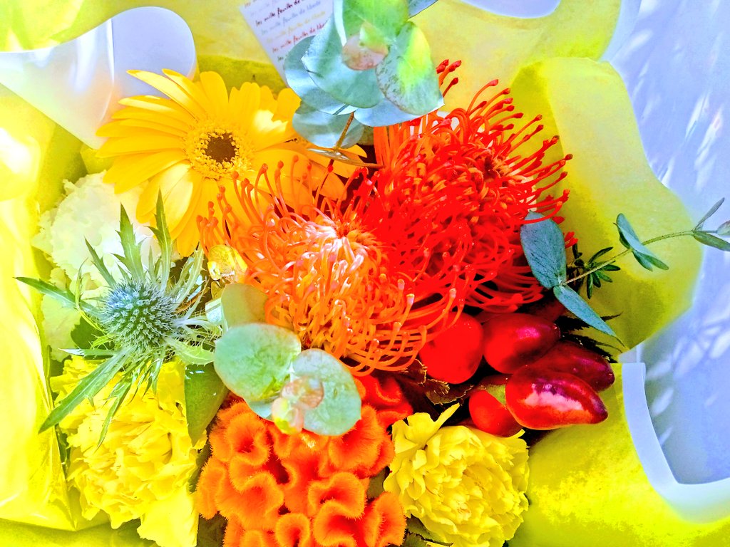 Brsfx22zbjezfm Brsfx22zbjezfm