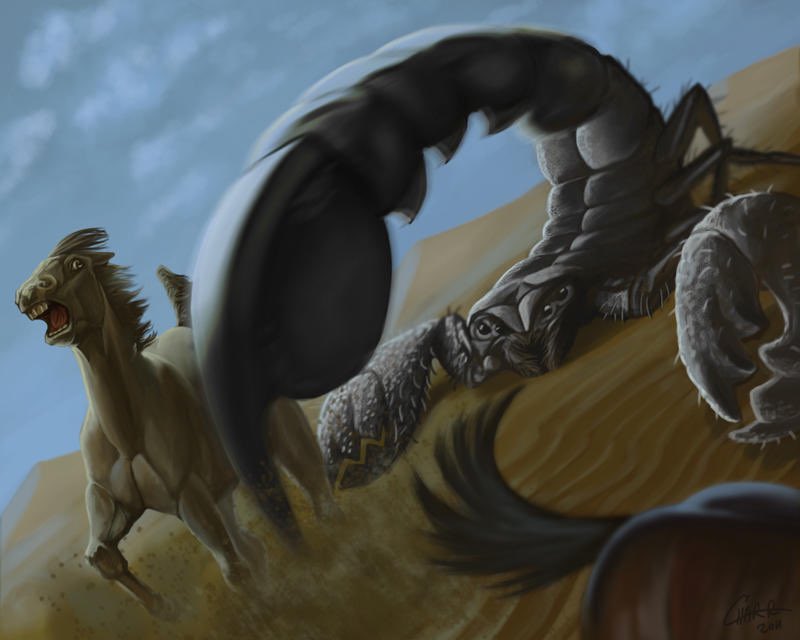 Yancarlos Hernandez tweet media