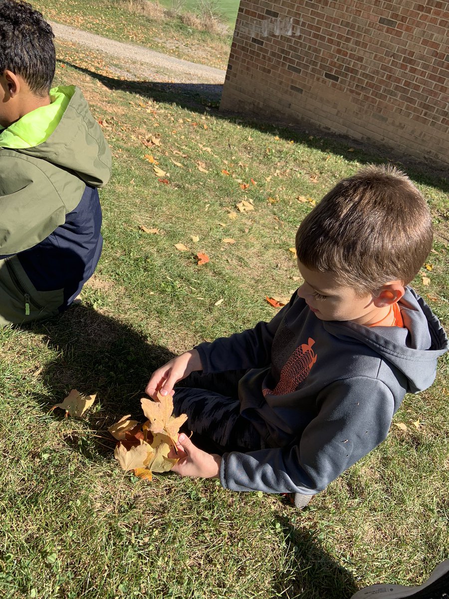 What a beautiful Fall day!!  Today during Outdoor Classroom, we learned about deciduous and conifer trees.  Students collected different leaves to compare and contrast their attributes.  We discussed how important trees are for us, animals and nature. We love learning outdoors.
