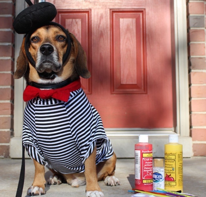LogicProducts's tweet photo. Some fabulous Halloween Costume Contest submissions!
Keep 'em coming - you can win a year's worth of BarkLogic 😍
.
.
.
.
#dog #dogsofinstagram #dogsofig #dogsofinsta #dogstagram #dog_features #dogoftheday #puppy #puppiesofinstagram #fluffydog #cutedog #cuteanimals #instagra... https://t.co/vjczJ3jJz5