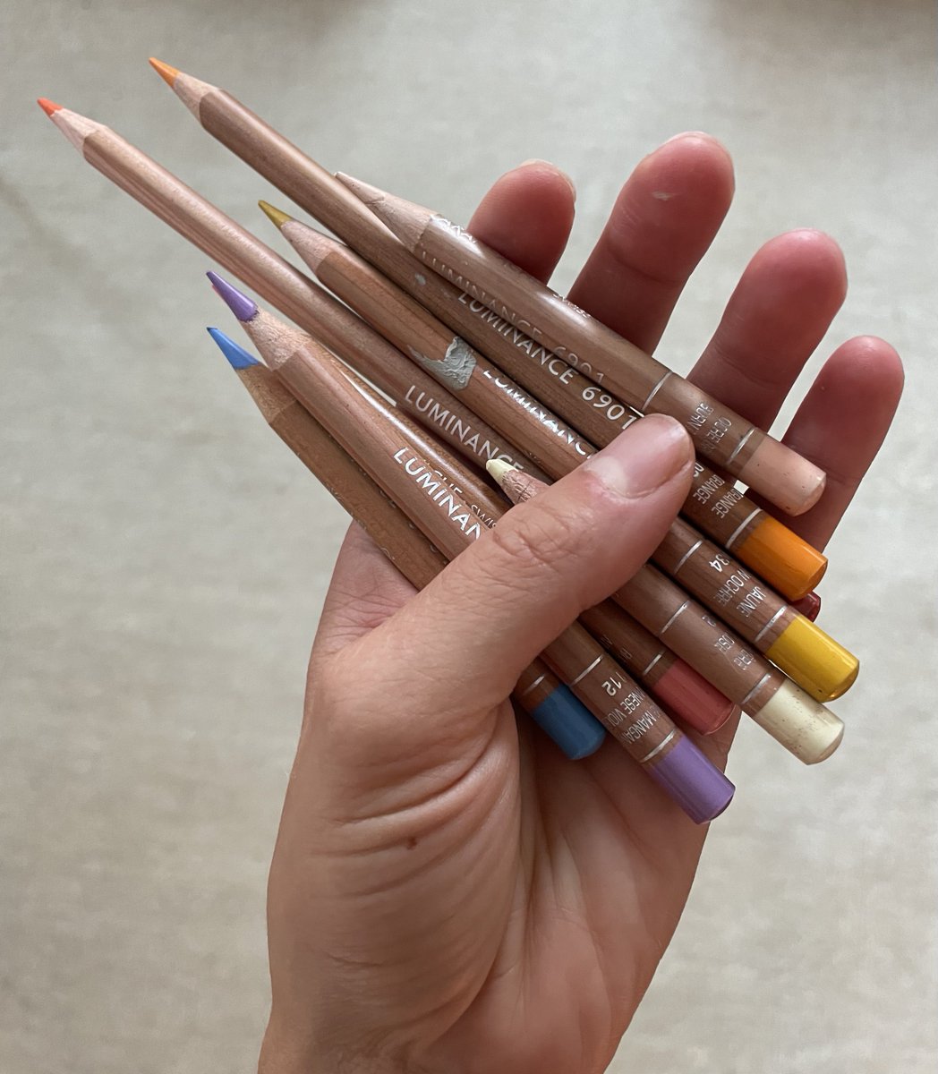 claire salvo tweet media