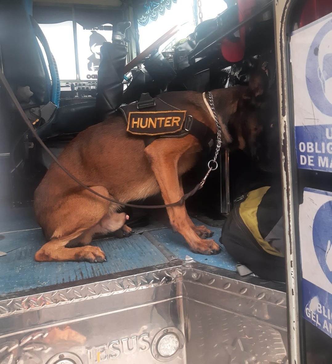 MPguatemala's tweet photo. La Fiscalía de Delitos de Narcoactividad en coordinación con la #PNC, realiza procedimiento en jurisdicción de aldea El Cerinal, Barberena, Santa Rosa. https://t.co/QaXPQdXnts