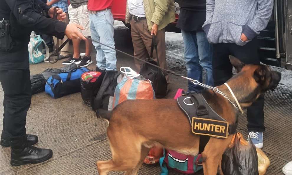 MPguatemala's tweet photo. La Fiscalía de Delitos de Narcoactividad en coordinación con la #PNC, realiza procedimiento en jurisdicción de aldea El Cerinal, Barberena, Santa Rosa. https://t.co/QaXPQdXnts