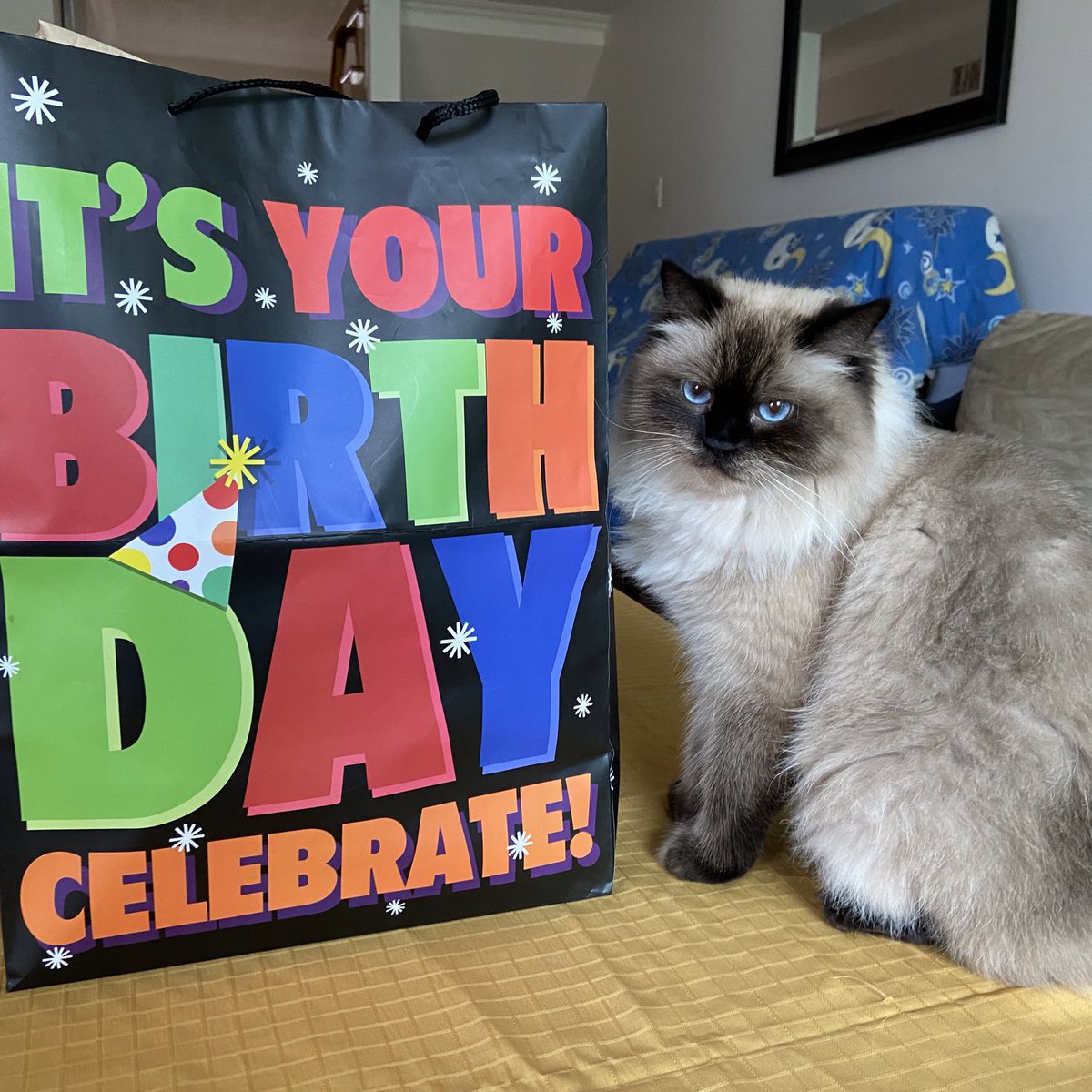 Time for birthday prezzies 😁🎉