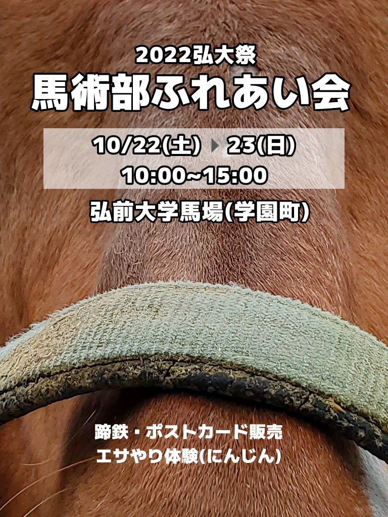 hirosaki_uma's tweet photo. 明日は弘大祭！
ちょっと遠いけど、学園町馬場にてお馬さんと一緒にお待ちしています🐴
※駐車、駐輪スペースあります https://t.co/AykyGvqCZR