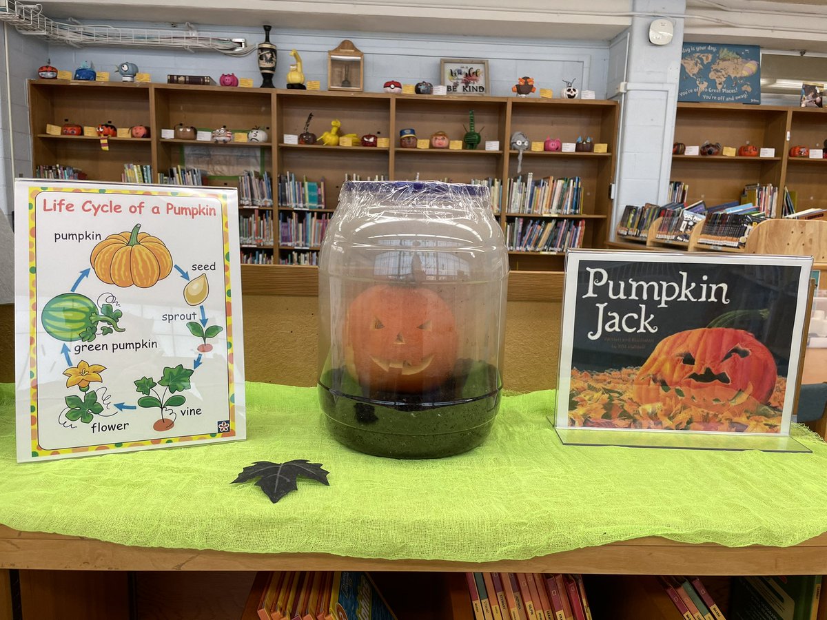Welcome to the Library, Jack! We are excited for you to show us the pumpkin life cycle! 🎃 <a href="/MBESBears/">Margaret Beeks Elem</a> <a href="/mbepto/">MARGARET BEEKS PTO</a> <a href="/mcpsvalibraries/">MCPS VA Libraries</a> <a href="/mcps_va/">MCPS</a>