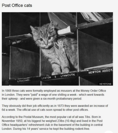 WholesomeMemes (@wholesomememe) on Twitter photo 