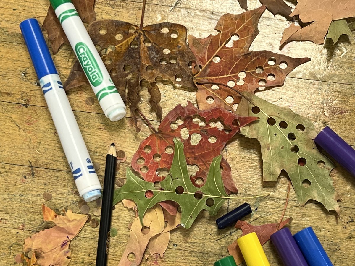 kingspaced's tweet photo. Part of our #natureplay this week included hole punching leaves. #leafconfetti https://t.co/cd7kTXKzRm