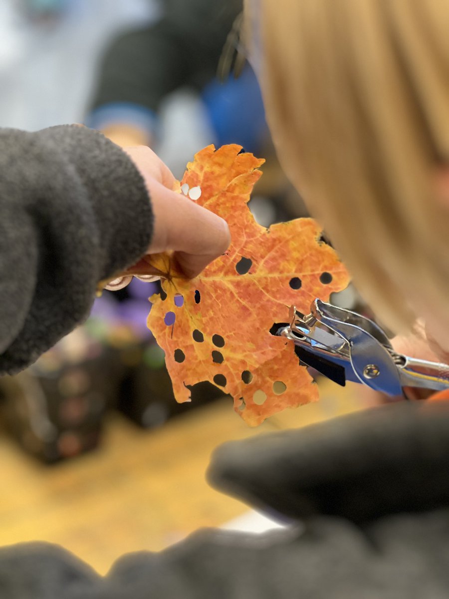 kingspaced's tweet photo. Part of our #natureplay this week included hole punching leaves. #leafconfetti https://t.co/cd7kTXKzRm