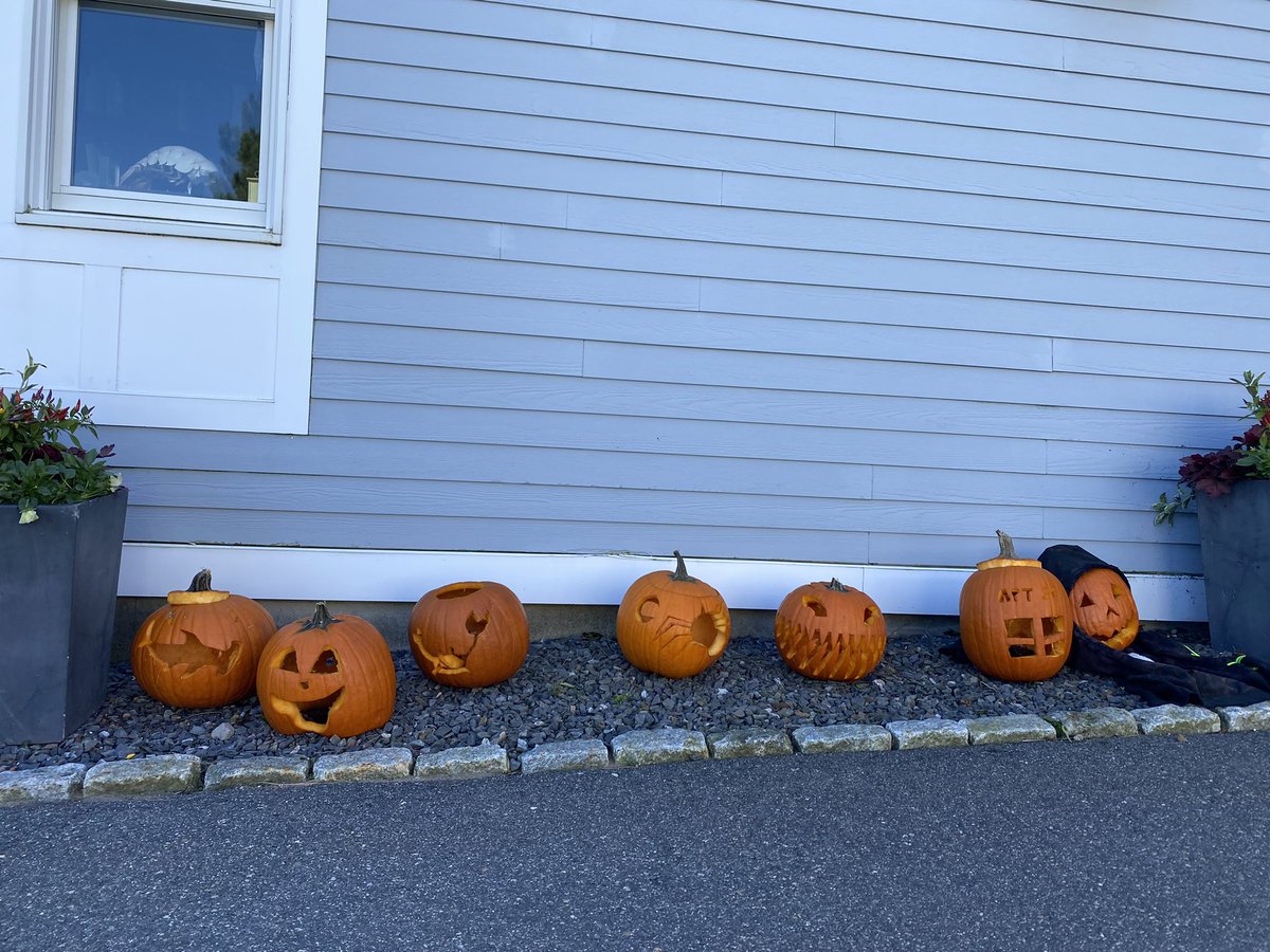 Some underwater pumpkin carving today! For the buoyancy practice and for fun :)